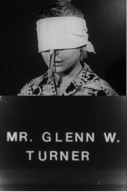 Mr. Glenn W. Turner (1990) poster