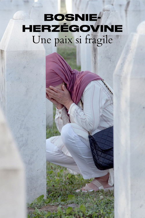 Bosnie-Herzégovine - Une paix si fragile (2023) poster