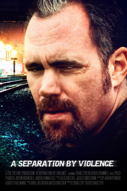 A Separation by Violence (2013) poster