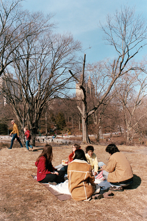 DeadLeaF (2025) poster