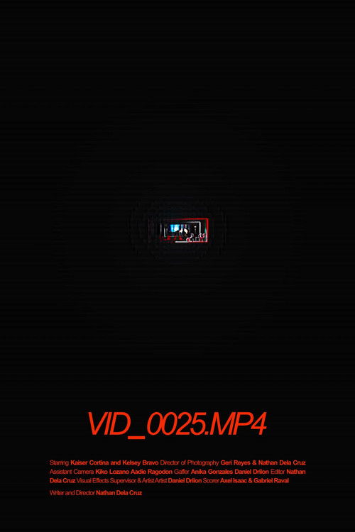 VID_0025.MP4 (2025) poster