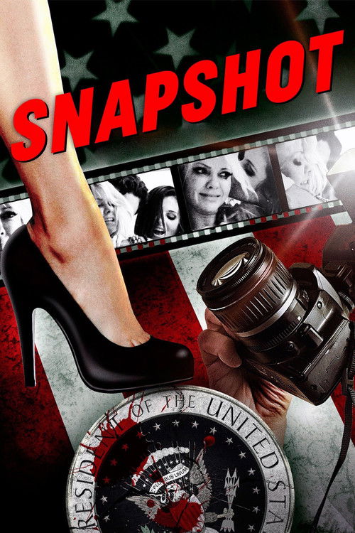 Snapshot (2014) poster