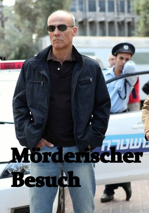 Mörderischer Besuch (2010) poster