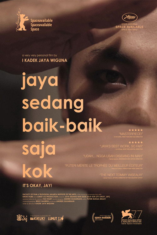 It's Okay, Jay! (2019) poster
