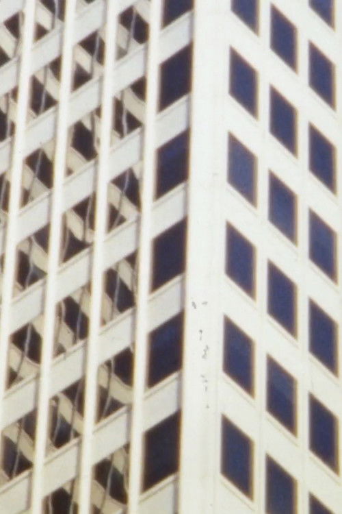 La Grande Dame (2011) poster