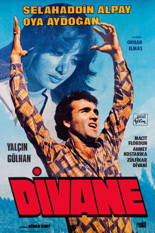 Divane (1979) poster