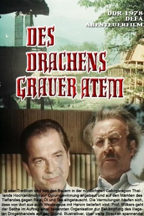 Des Drachens grauer Atem (1979) poster