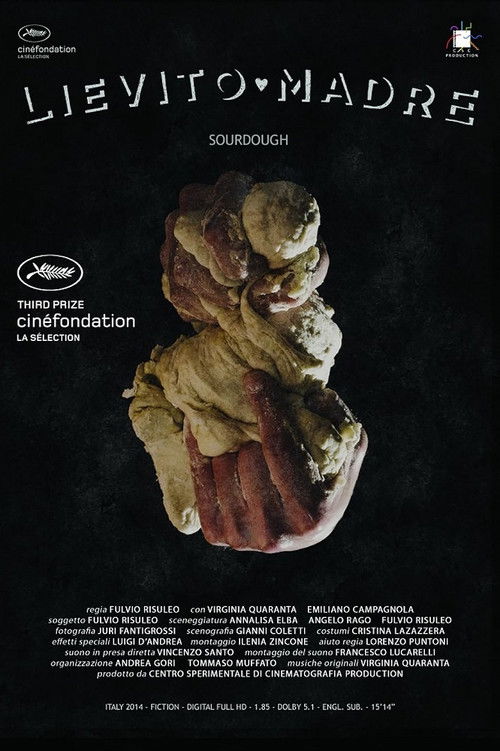 Sourdough (2014) poster