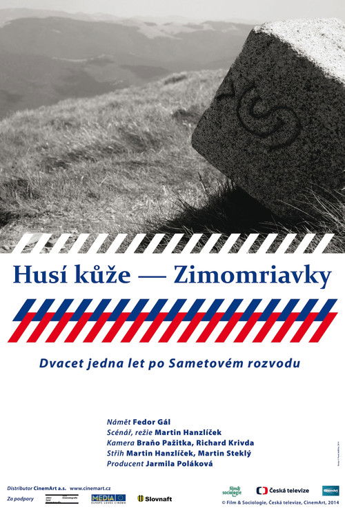 Husí kůže – Zimomriavky (2014) poster