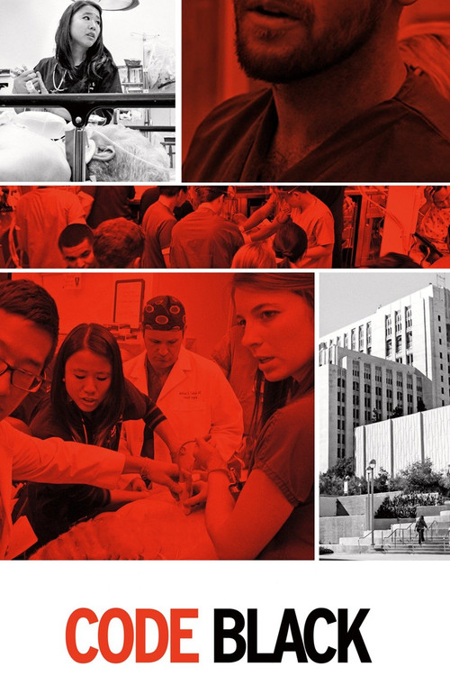 Code Black (2014) poster