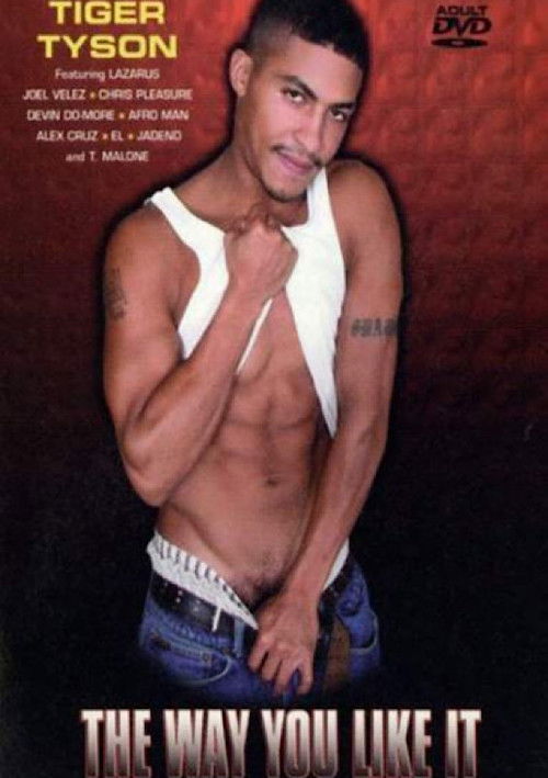 The Way You Like It (2004) poster