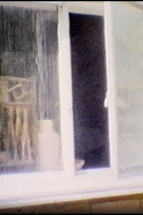 Dowager Hunter-Gatherer (1994) poster