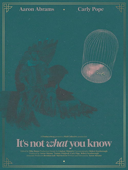 It's Not What You Know (2016) poster