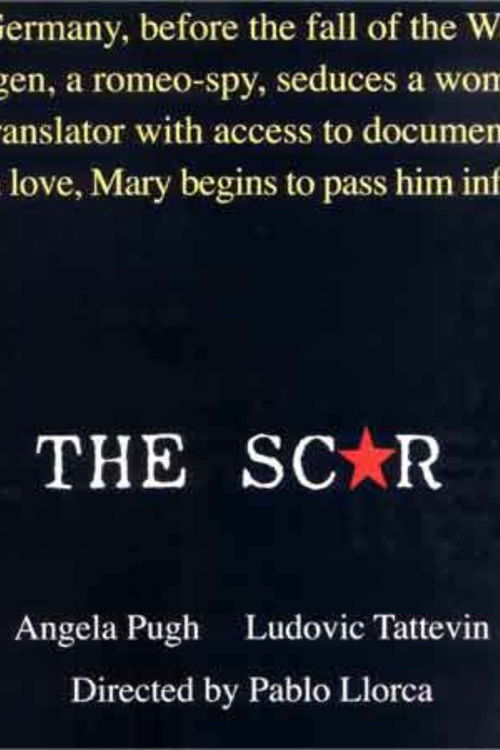 La cicatriz (2005) poster