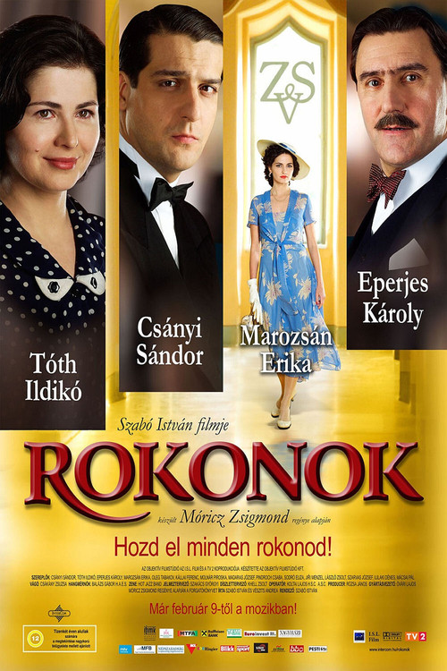 Rokonok (2006) poster