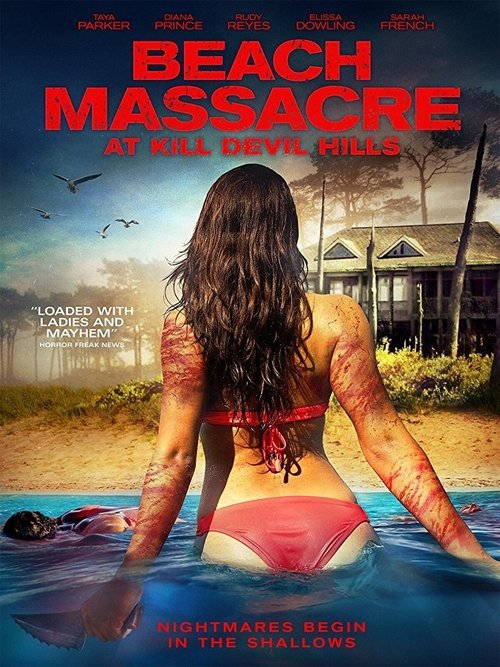 Beach Massacre at Kill Devil Hills (2016) poster
