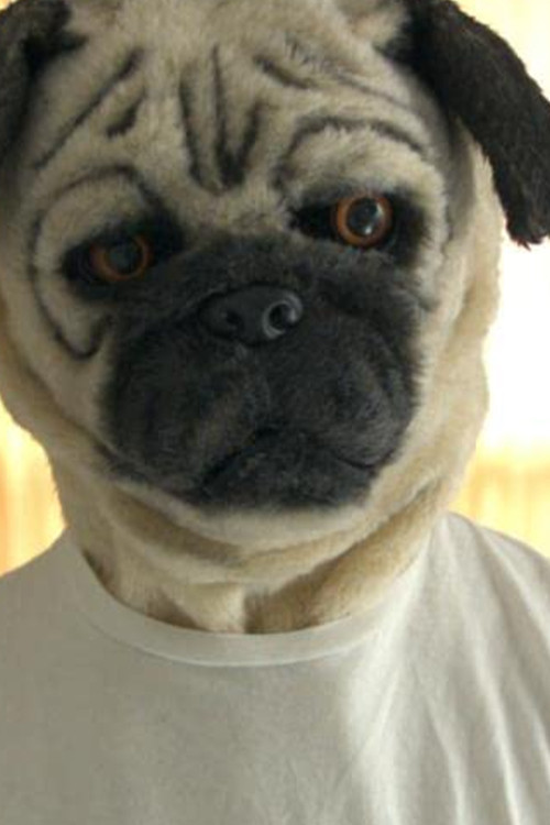 A Pug & Wolf Christmas (2017) poster