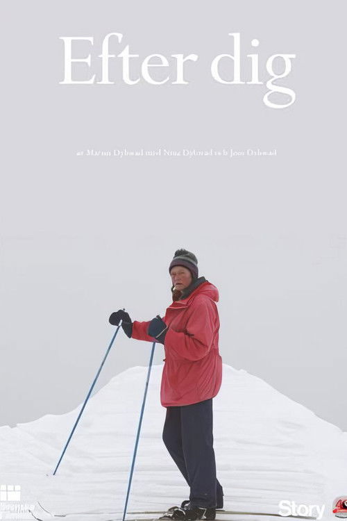 After You (2013) poster