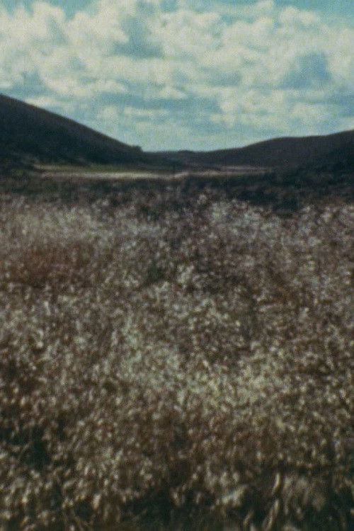 Ja, Ja. Drømmeland (1945) poster