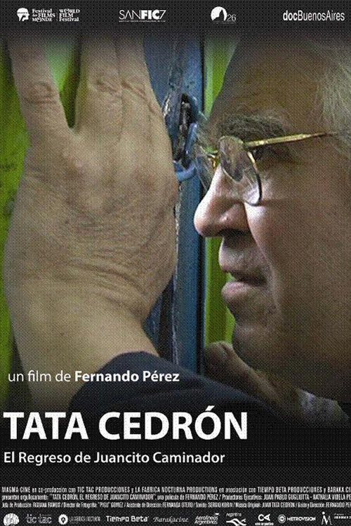 Tata Cedrón, el regreso de Juancito Caminador (2011) poster