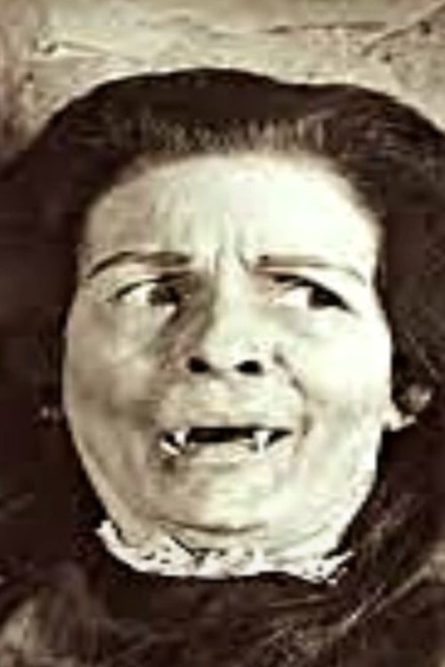 The Witches (1927) poster