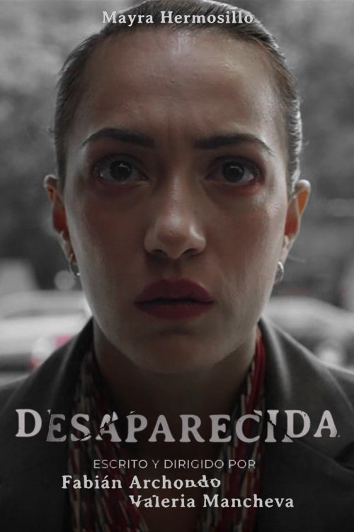 Desaparecida (2022) poster