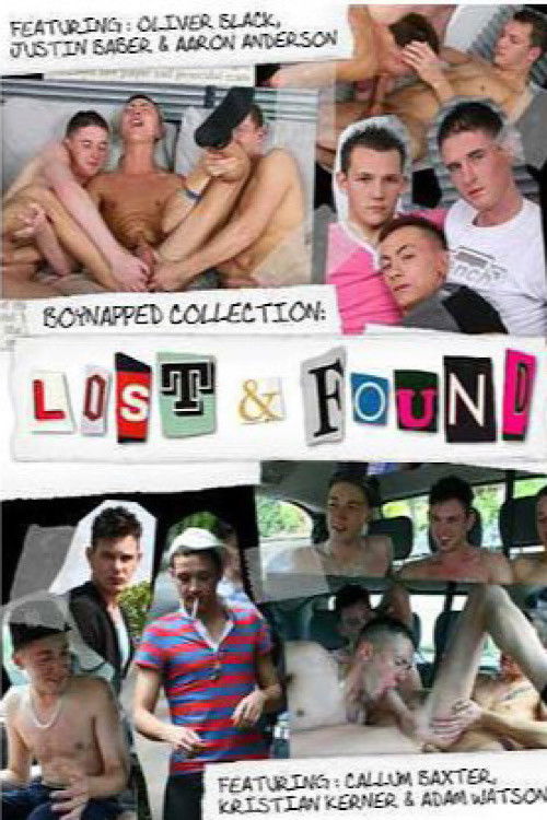 Boynapped Collection: Lost and Found (2010) poster