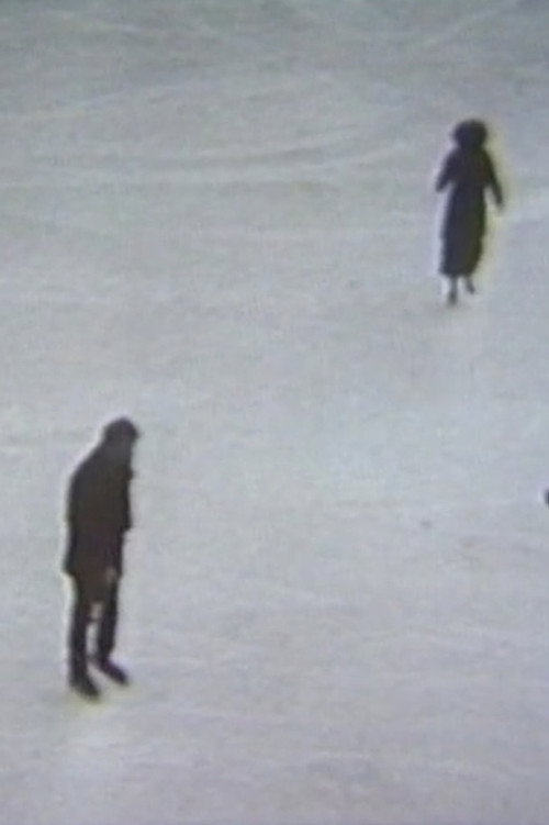 Skating (1978) poster