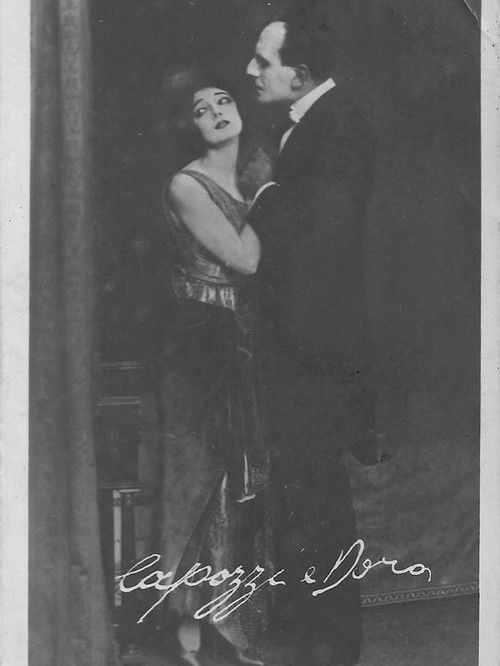 The Mysterious Princess (1920) poster