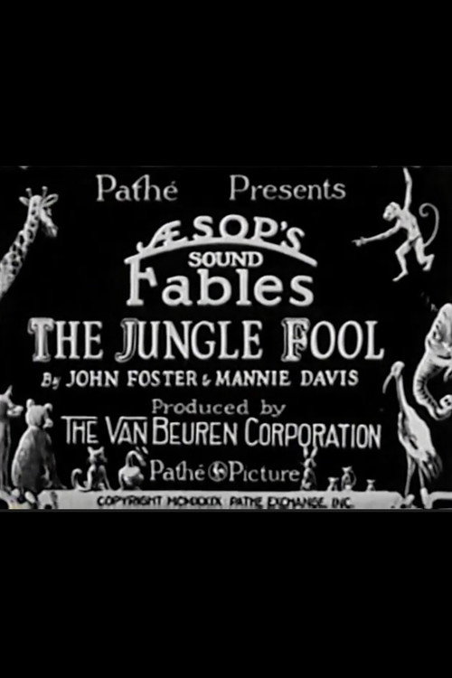The Jungle Fool (1929) poster