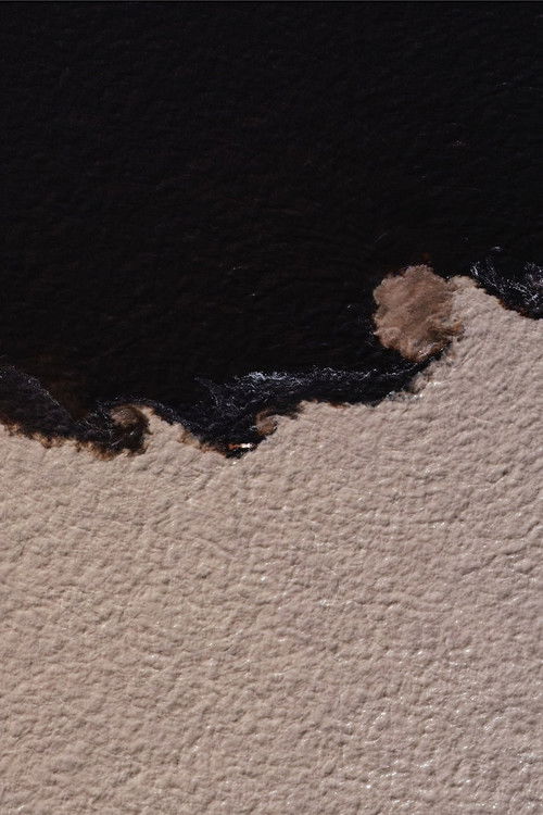 Æqualia (2023) poster