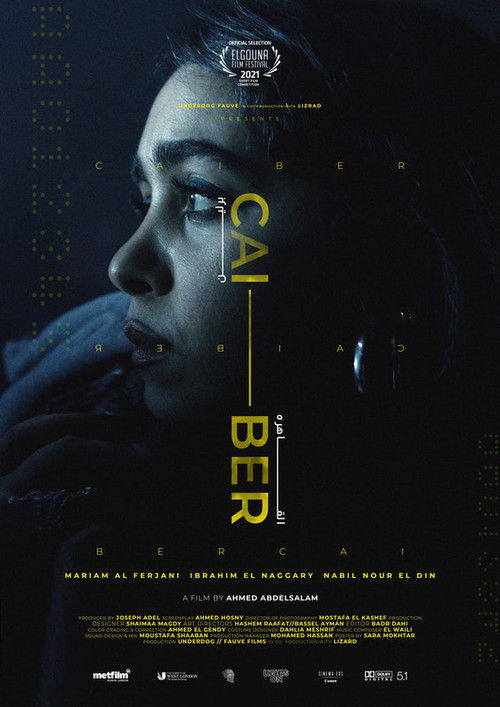 CAI - BER (2022) poster