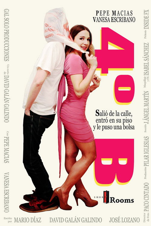 4º B (2012) poster