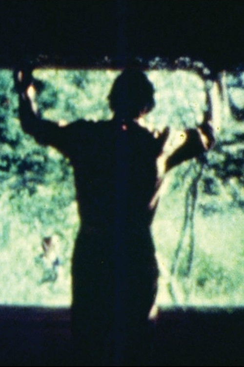 The Circular Scene (1982) poster