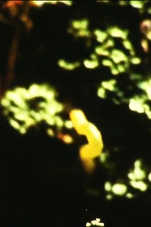 Caterpillar (1973) poster