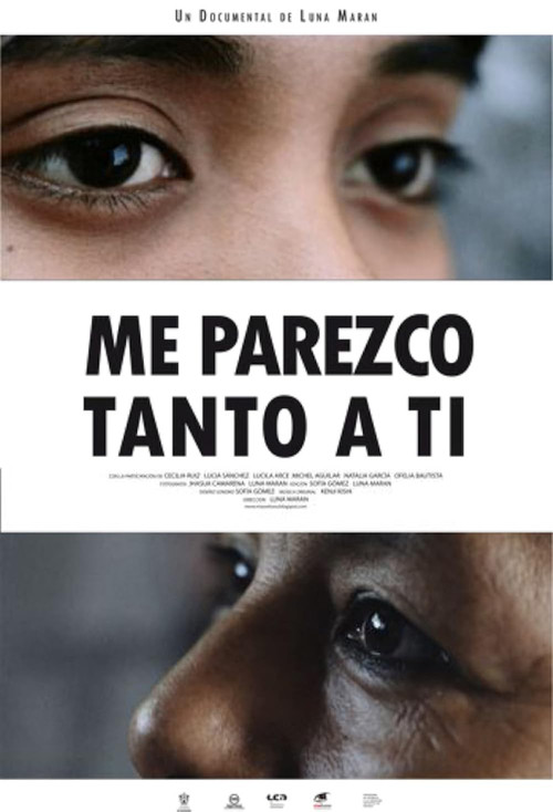 I Look So Much Like You (2011) poster