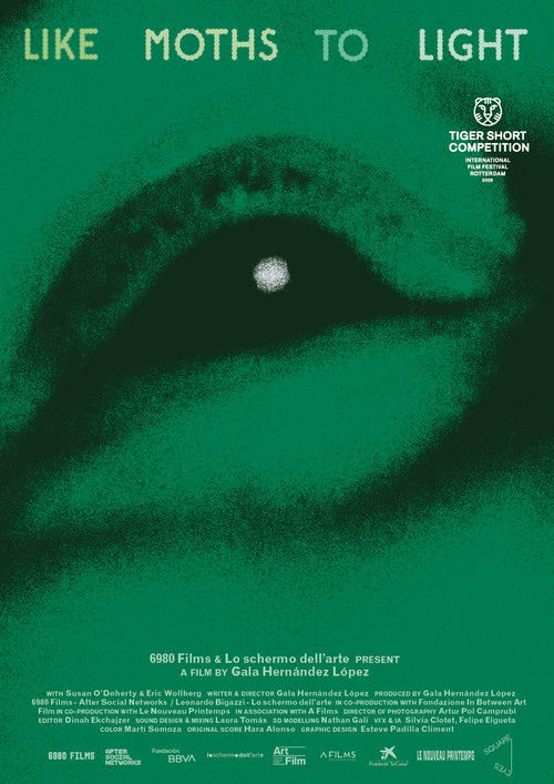 like moths to light (2026) poster