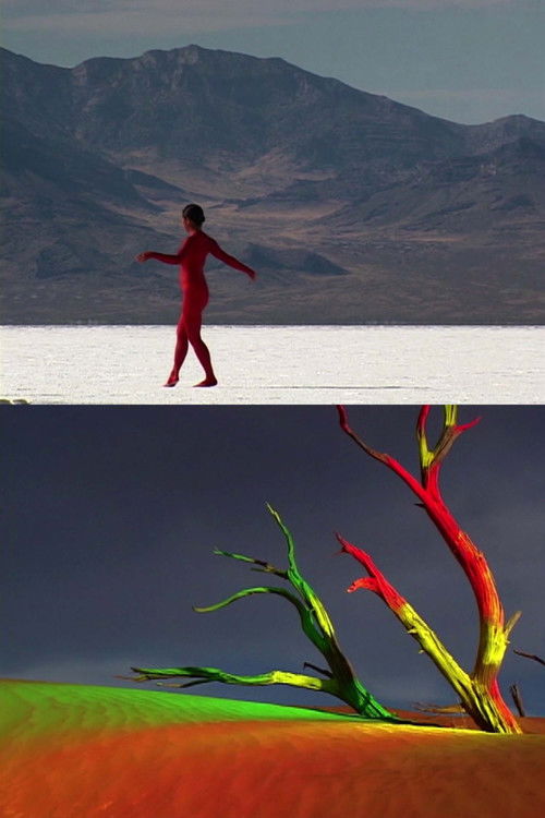 bodies of the desert (2005) poster