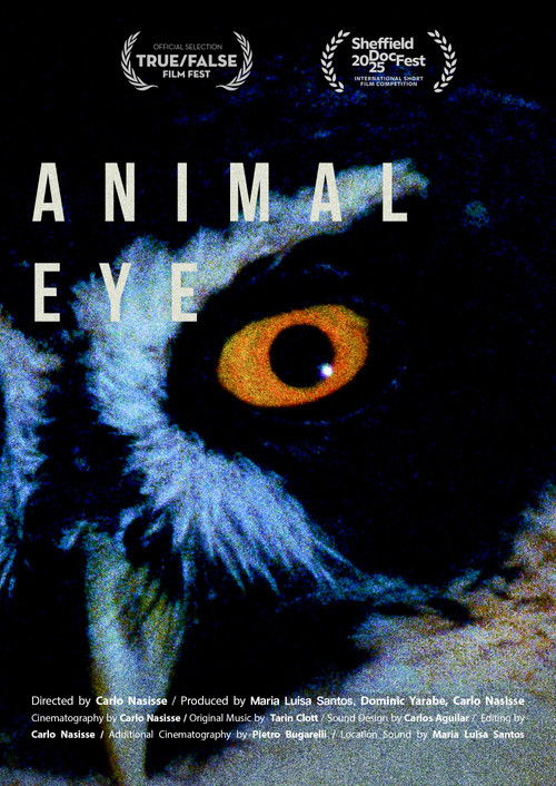 Animal Eye (2025) poster