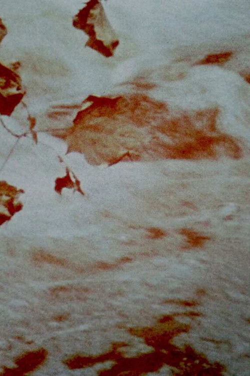 Charmides (1949) poster