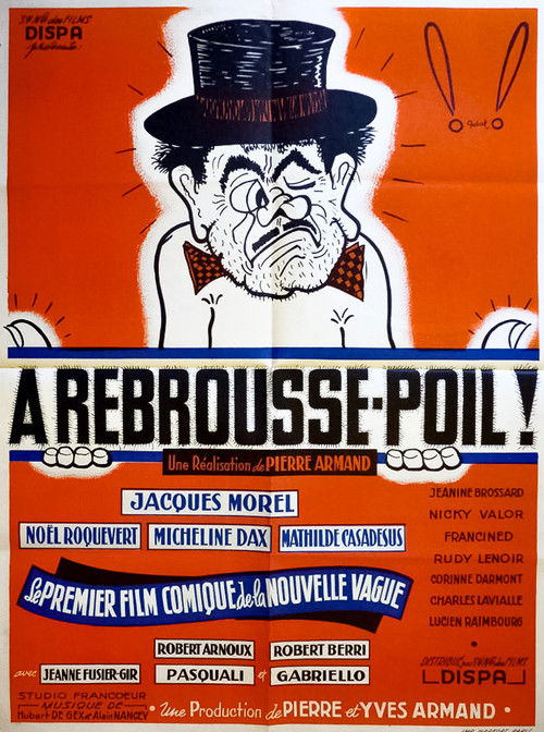 À rebrousse-poil (1961) poster