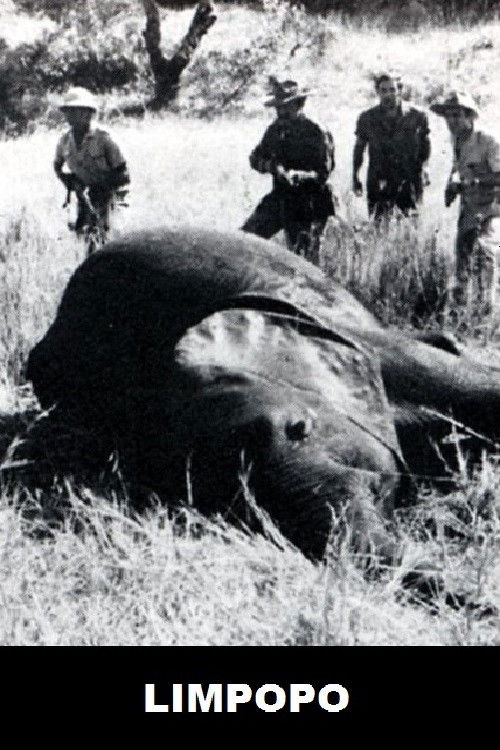 Limpopo (1970) poster