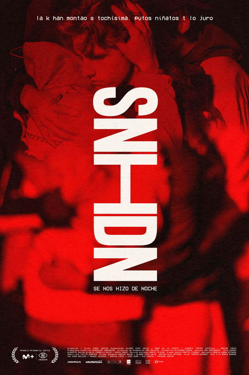 It Got Dark (2022) poster