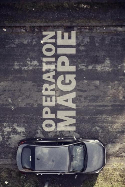 Operation Magpie (2023) poster