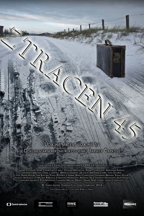 Ztracen 45 (2014) poster