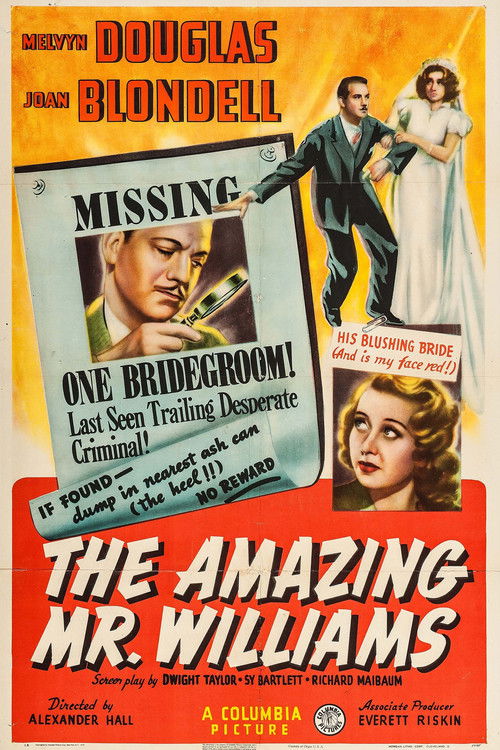 The Amazing Mr. Williams (1939) poster