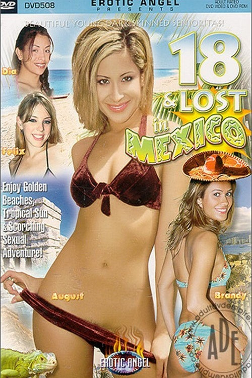 18 and Lost in Mexico (2003) poster
