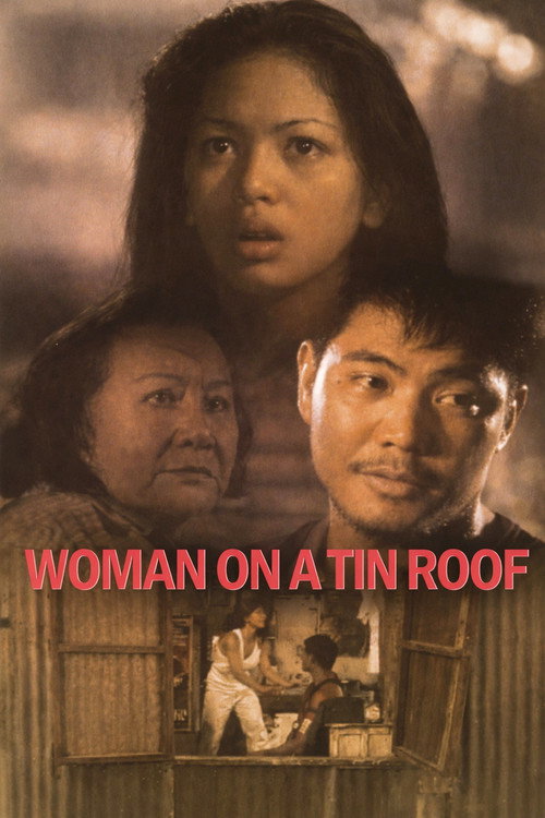 Babae sa Bubungang Lata (1998) poster