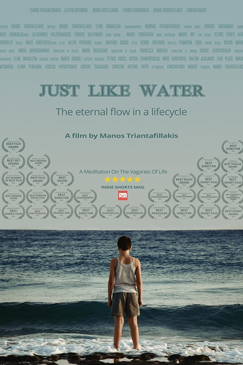 Just Like Water (2021) poster