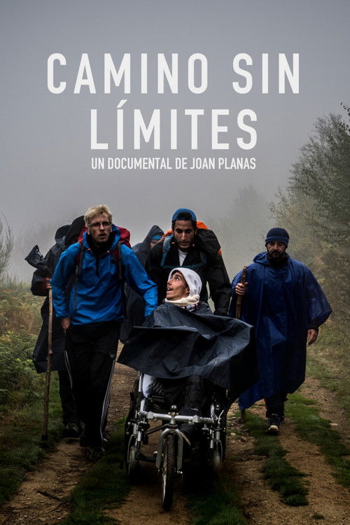 The Way Without Limits (2017) poster